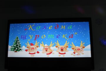 Коледна щуротека - 2024г. – ОУ „Вапцаров“, с. Селановци (снимка 1)